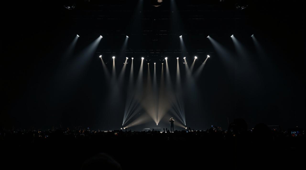 老湿影视音乐盛典：巅峰之夜 - 老湿影视